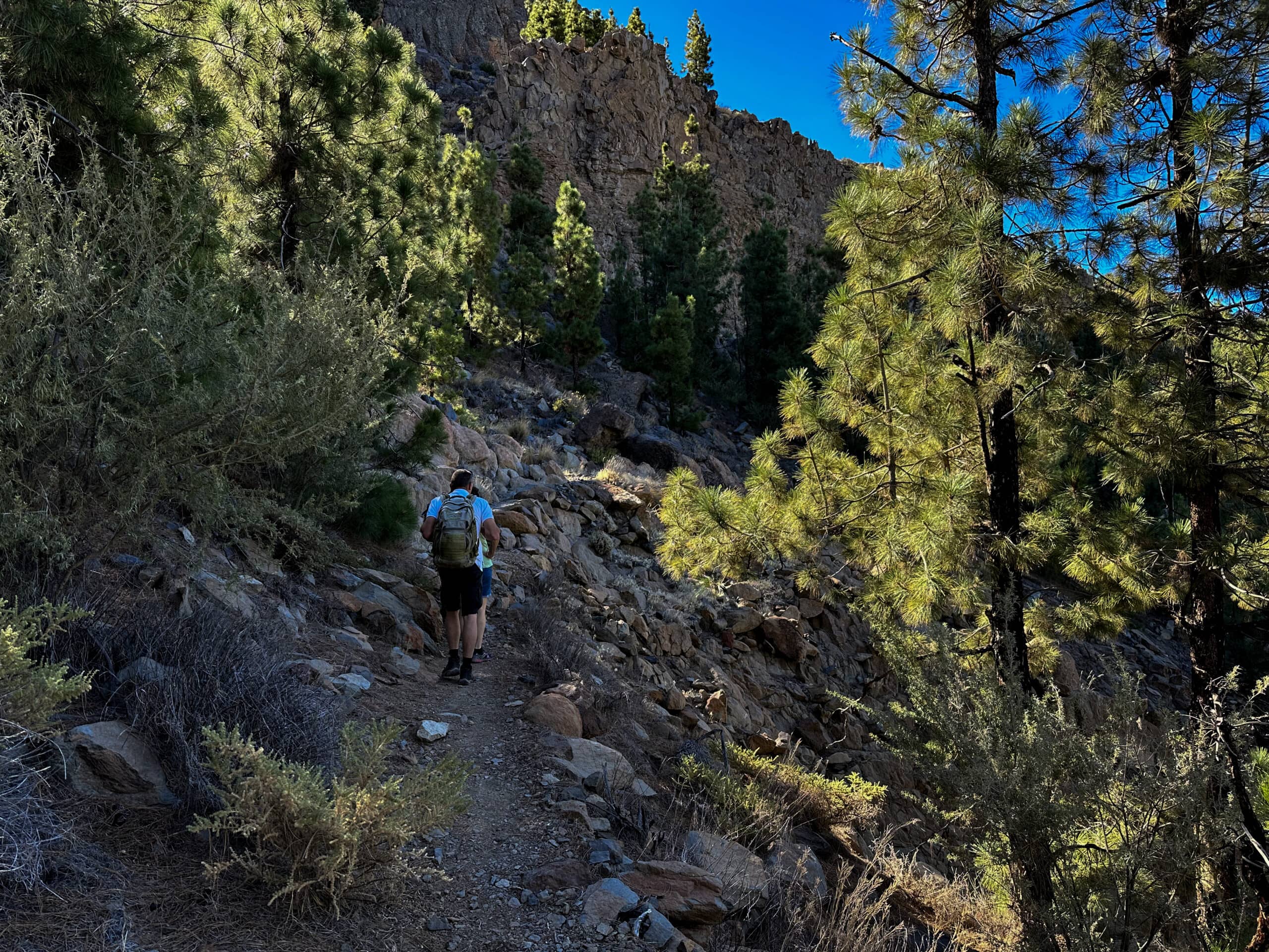 Rundwanderung an den Hängen der Cañadas - Wanderer auf dem Weg