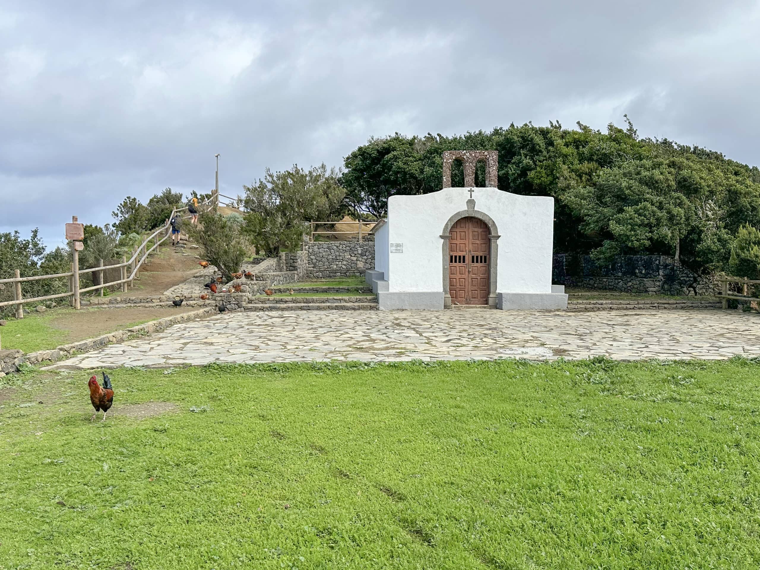 Santa Clara con «aves de corral»
