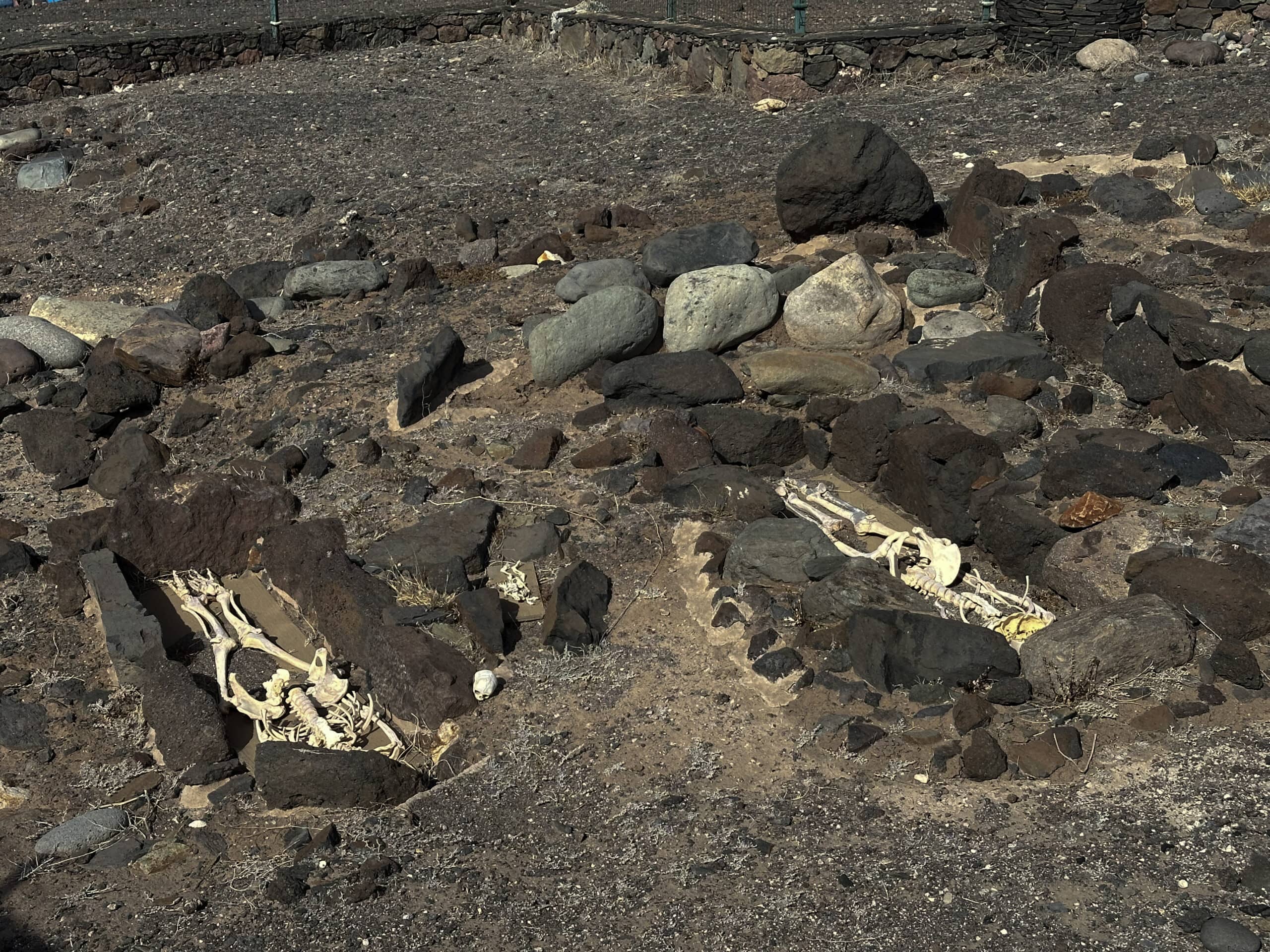Lomo de Caserones archaeological site