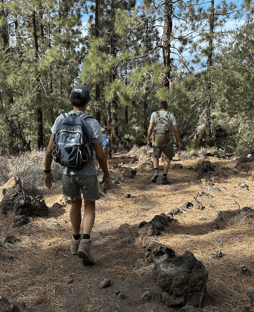 Wanderberatung für Teneriffa - Jetzt informieren!