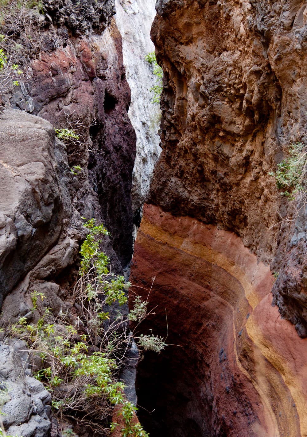 Abenteuerliche Schlucht Wanderung – es muss nicht immer Masca sein