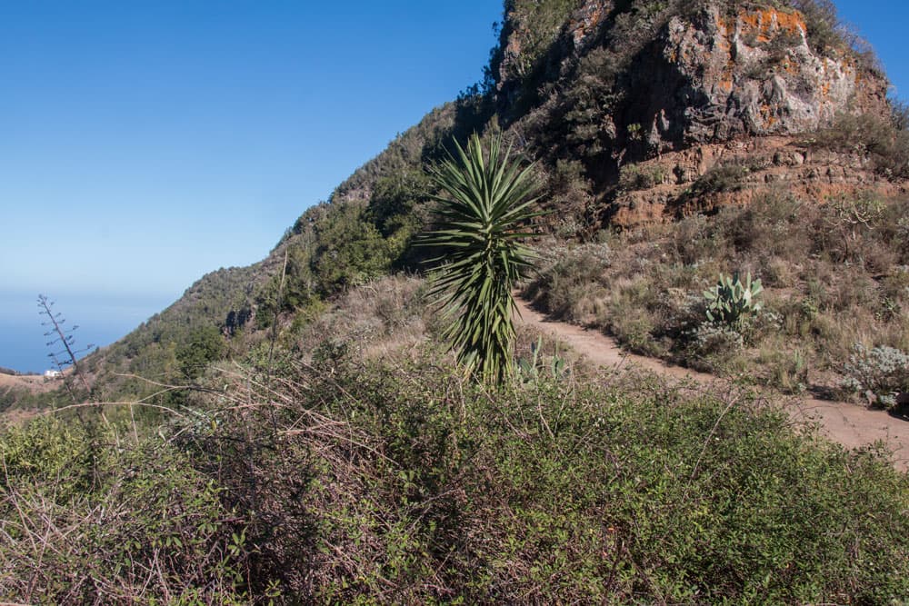 Wanderweg nach Chinamada in der Höhe