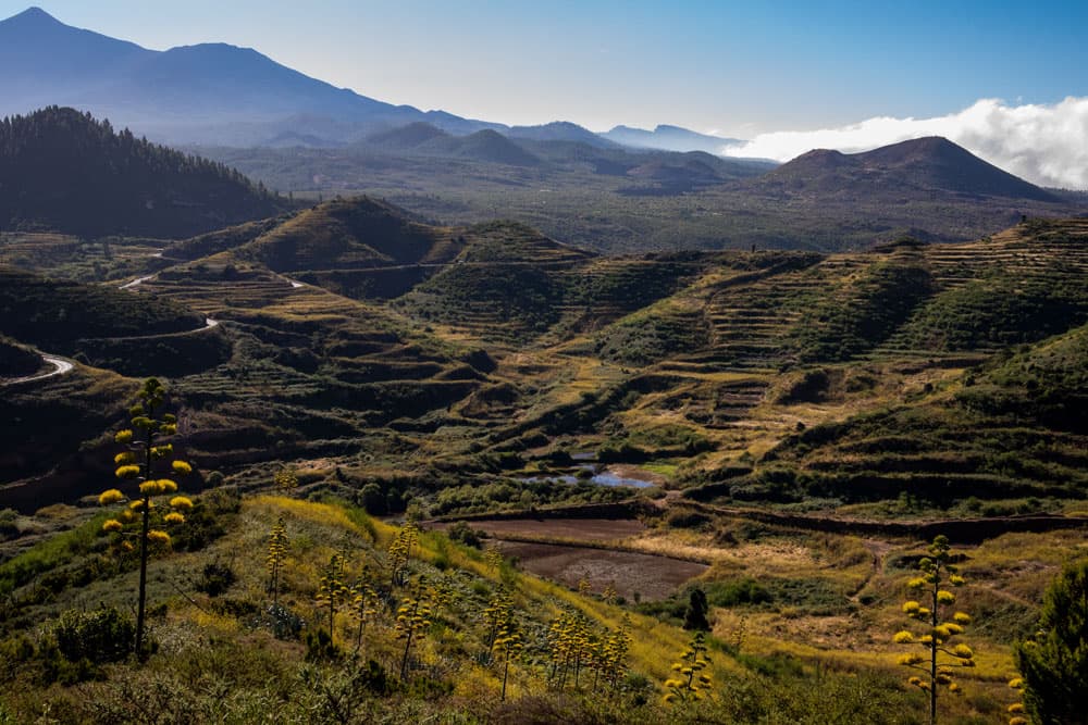 Blick vom Grat auf Erjos und Teide