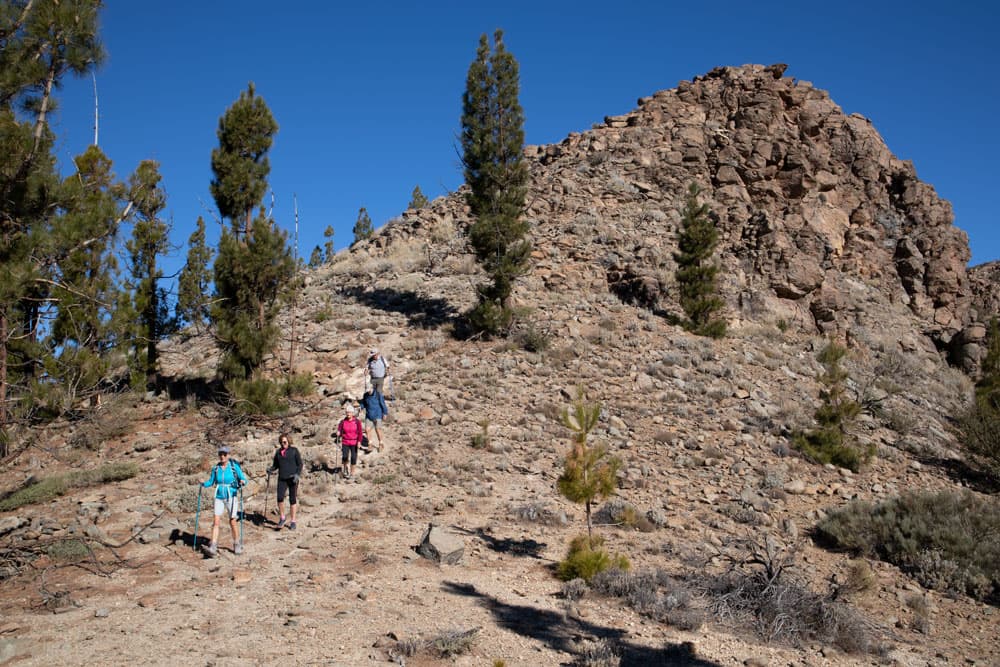 Montaña el Cedro – spannende Rundwanderung an den Hängen der Cañadas