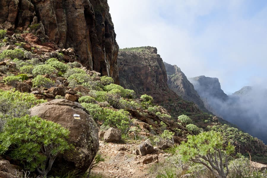 The hiking trails are excellent. However, clouds are to be expected from time to time at high altitudes.