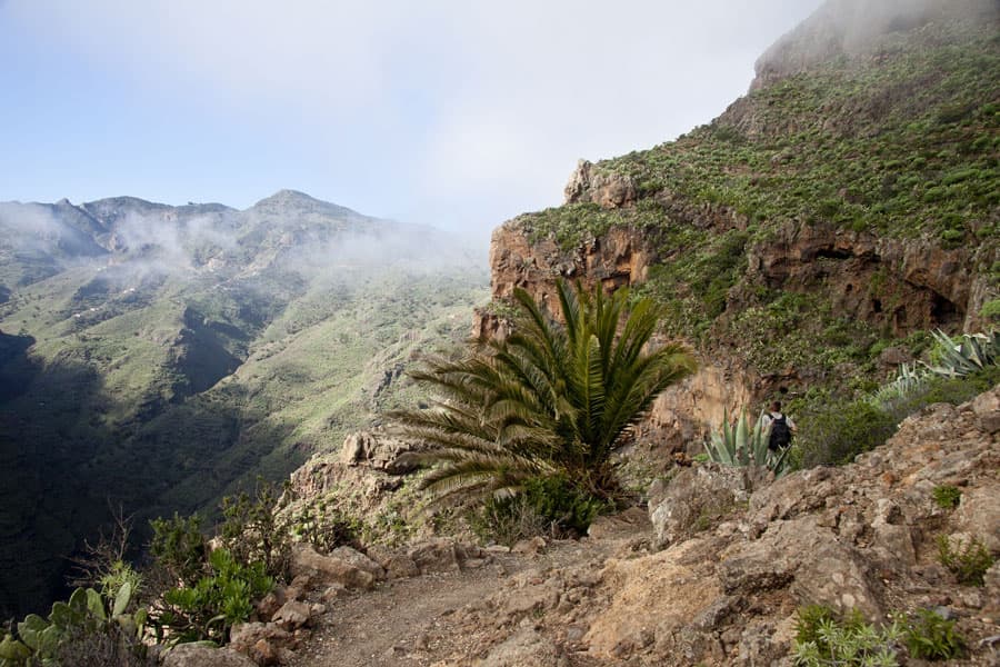 Hiking route PR LG 18 between Tacalcuse and Berruga
