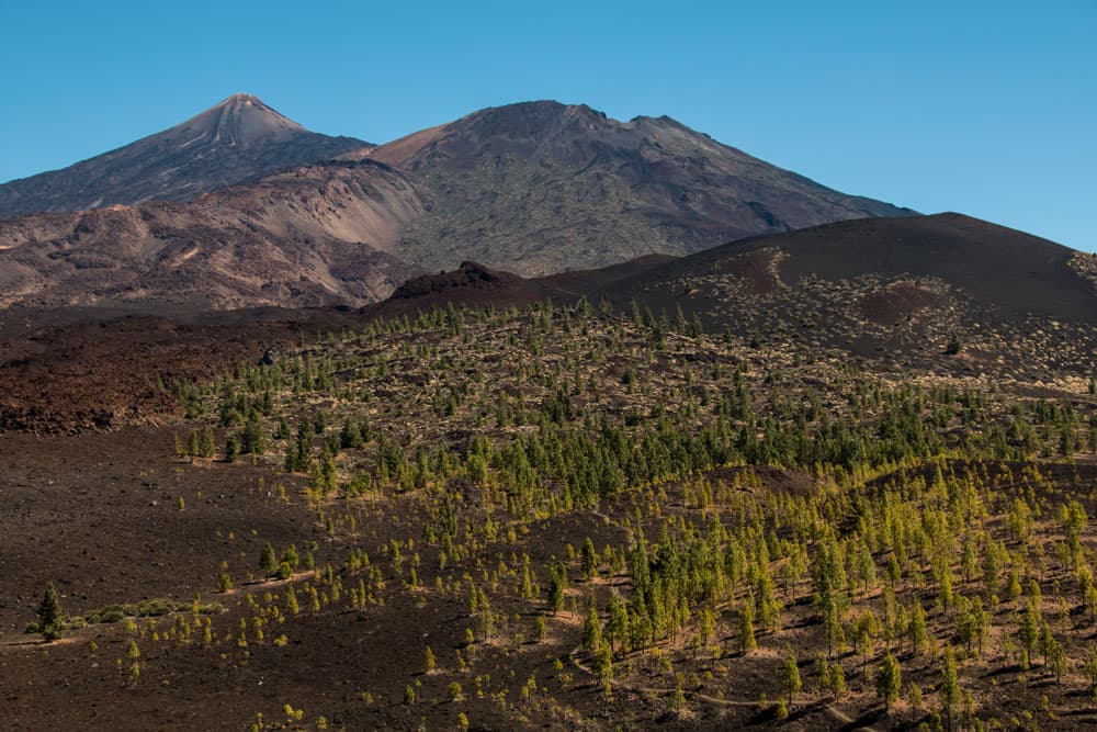 Samara circular - view on the Teide, Pico Viejo and Montaña de la Botija