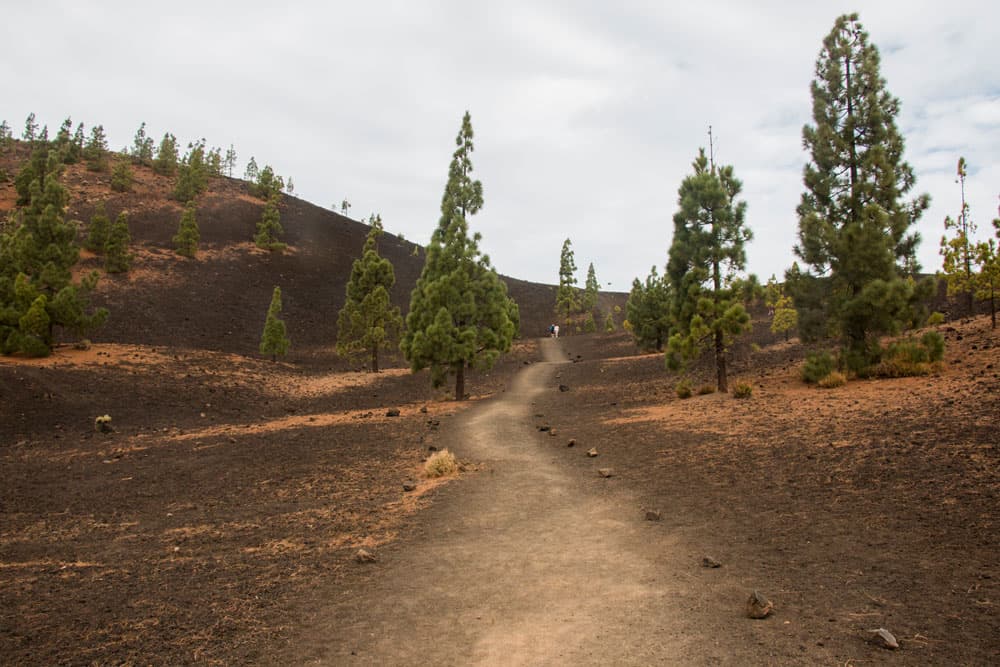 Hiking path to Montaña Samara