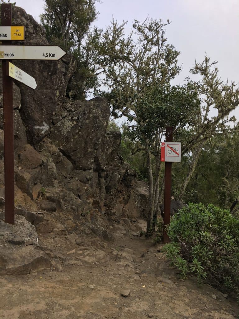 Laurel forest - junction to Los Silos