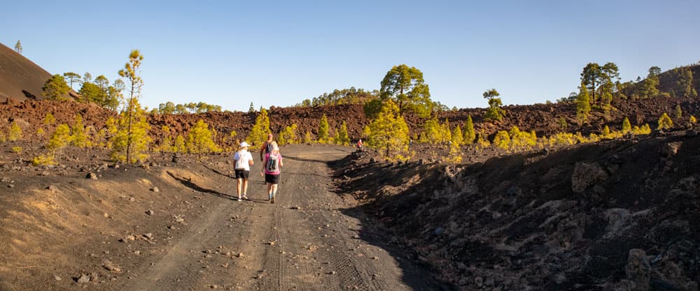 hikers on the hiking road - Montaña de las Cuevitas
