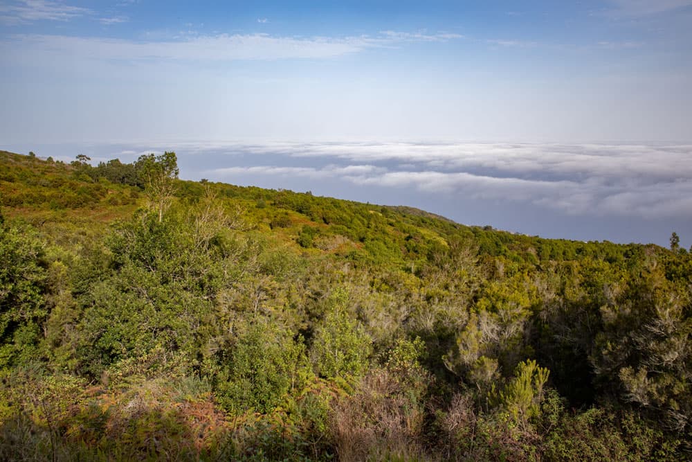 View from the top to the clouds above the north coast