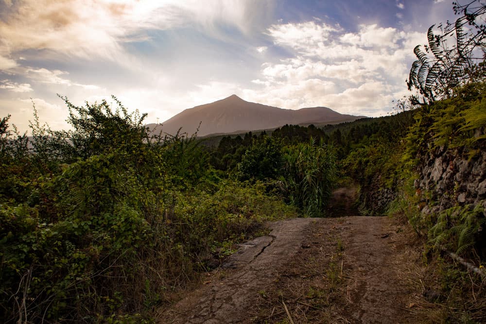 View of the Teide from the hiking trail