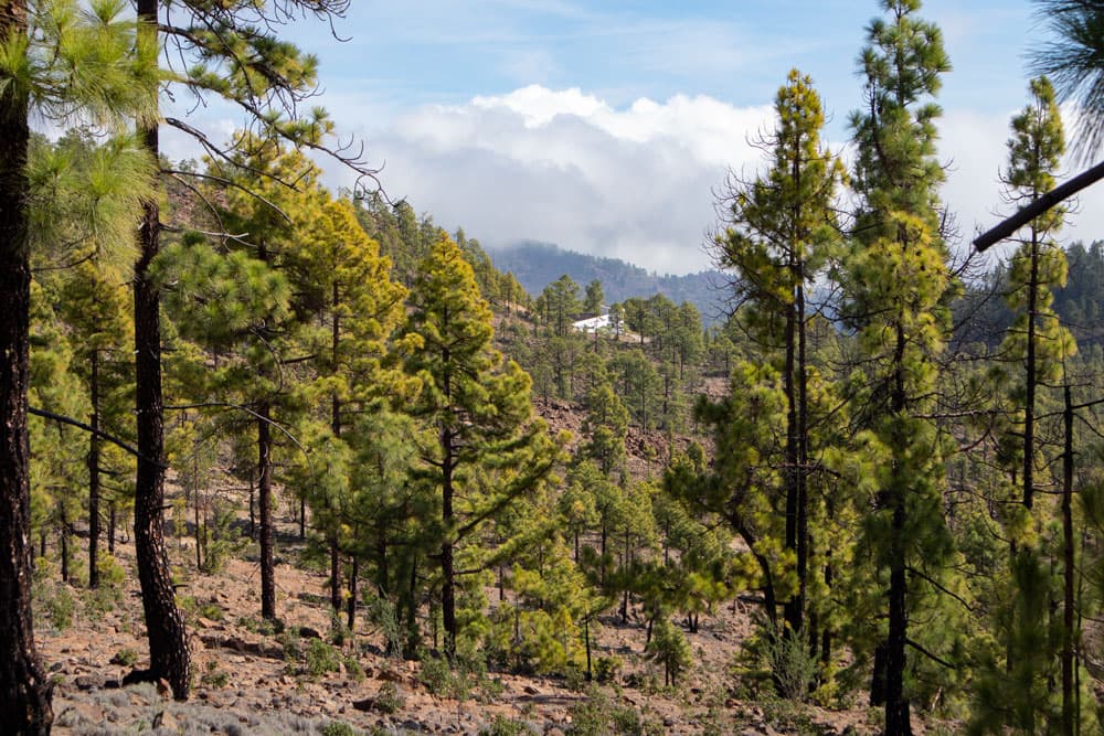 View of Vilaflor from afar