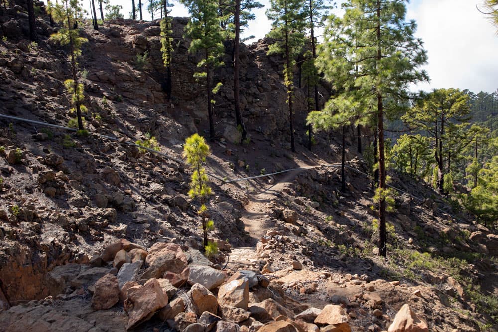 Hiking trail in the height shortly before Vilaflor