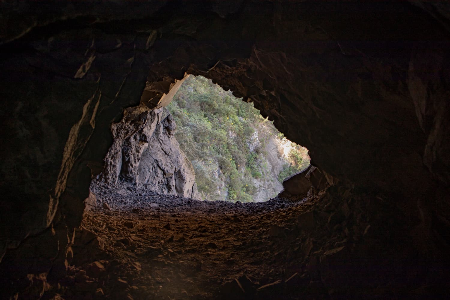 a window in the tunnel wall