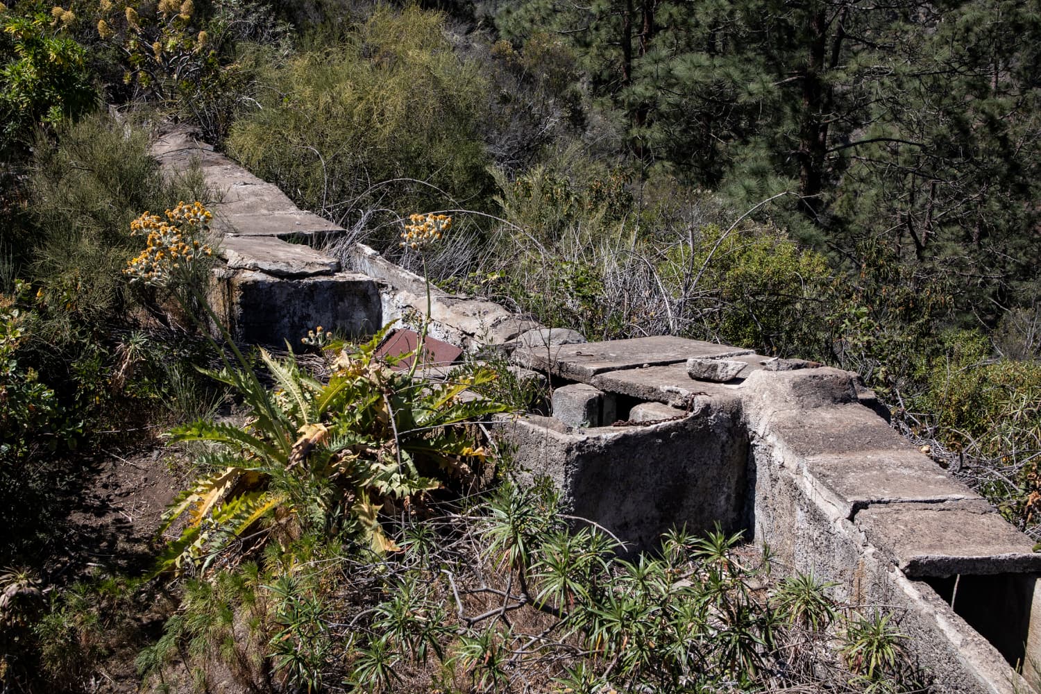 a covered channel on the mountain ridge