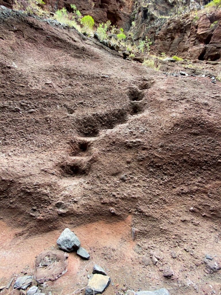 Stairs in the Barranco Natero to the ground