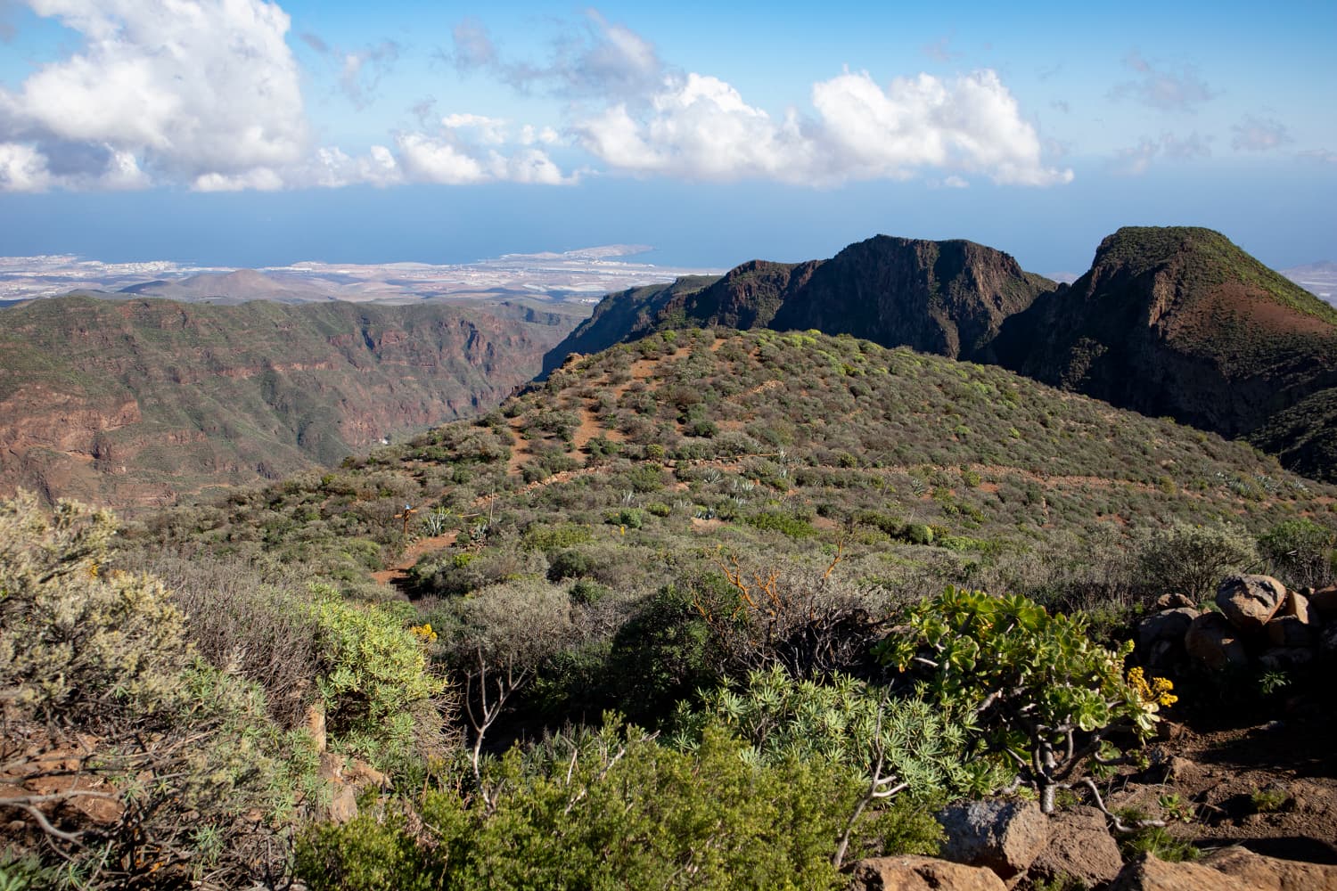 The plateau above the Barranco de Guayadeque