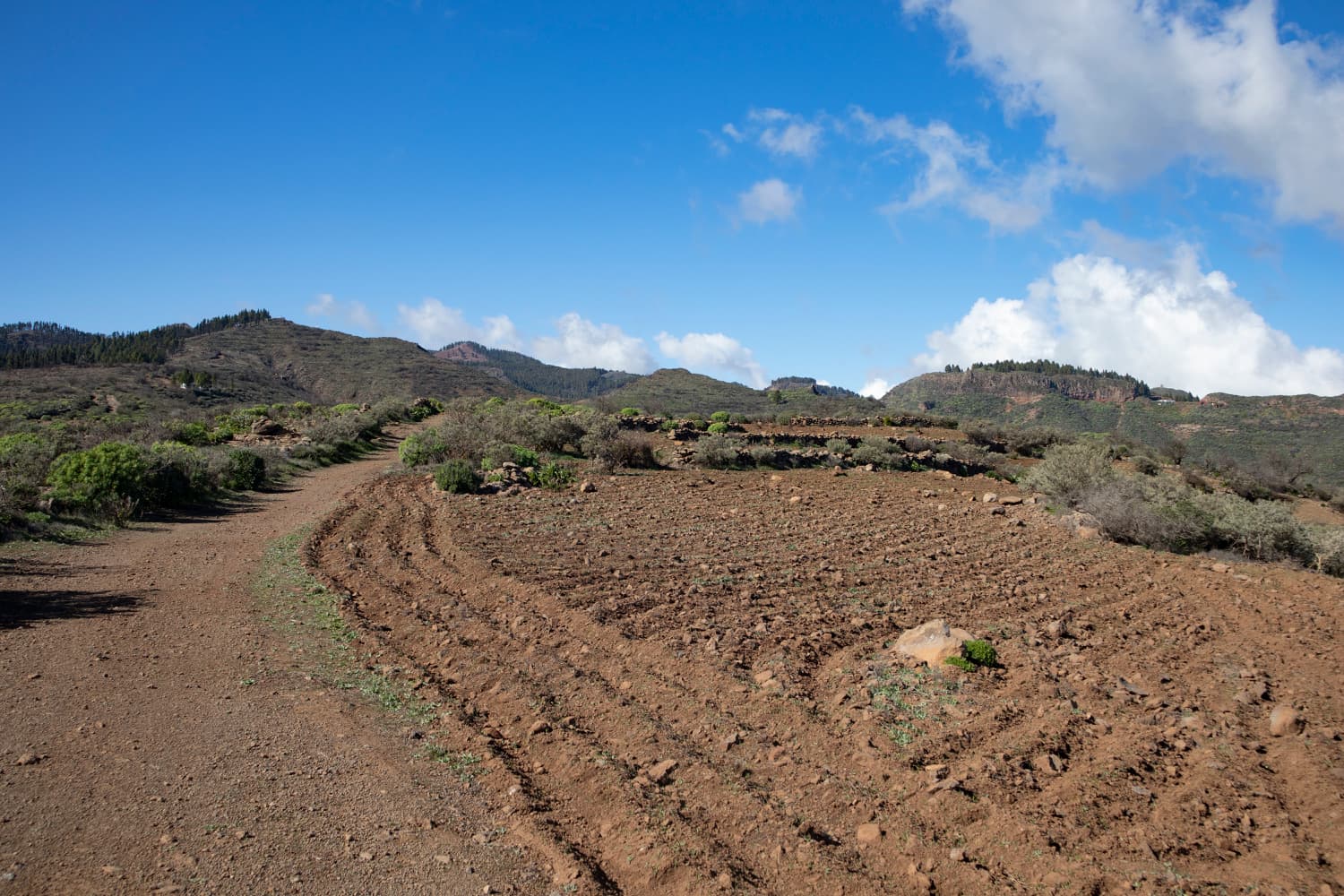 Hiking trail in the height above the Barranco de Guayadeque