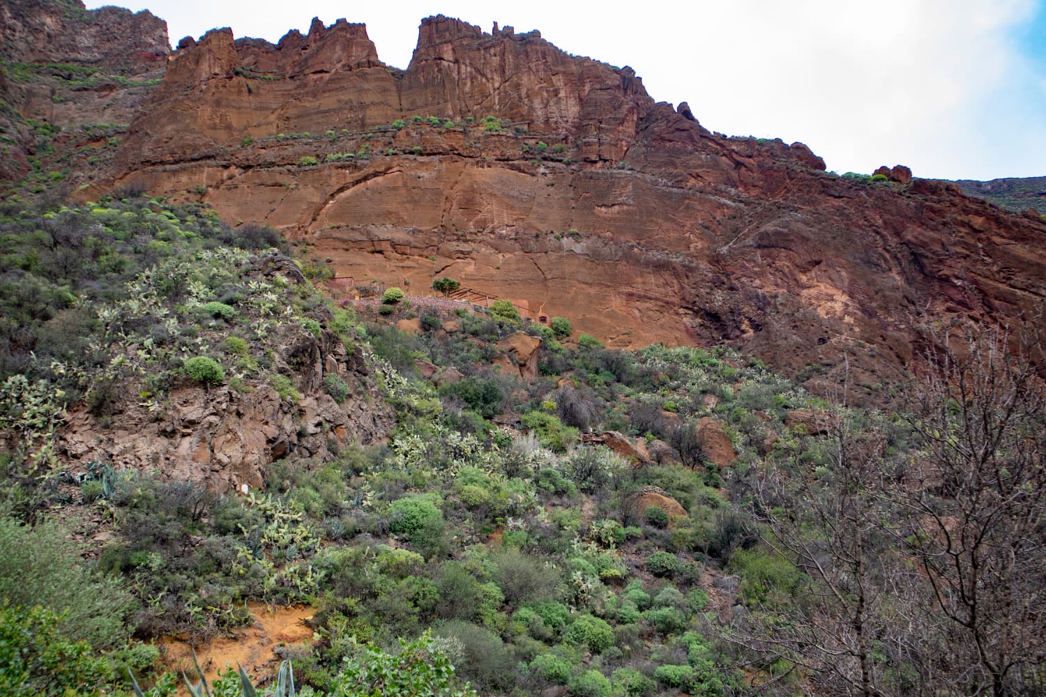 Rugged rocks border the Barranco de Guayadeque - here: Sepultura de Gigante