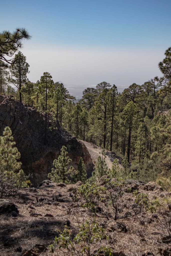 Forest path with views of the east coast of Tenerife