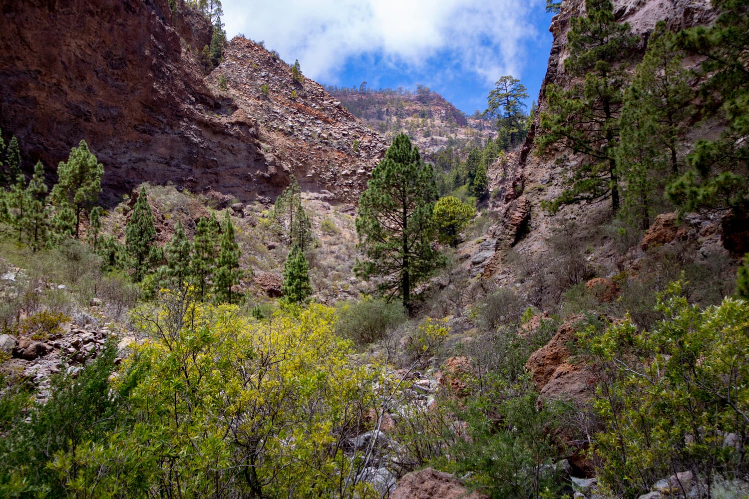 Barranco del Río – Hiking in a lonely canyon with waterfall