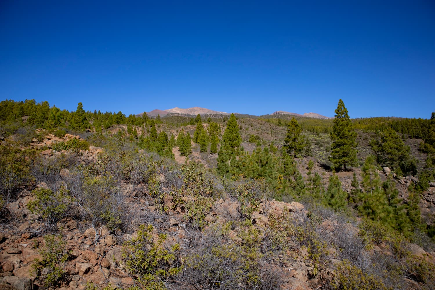 View over the slopes up to the Cañadas