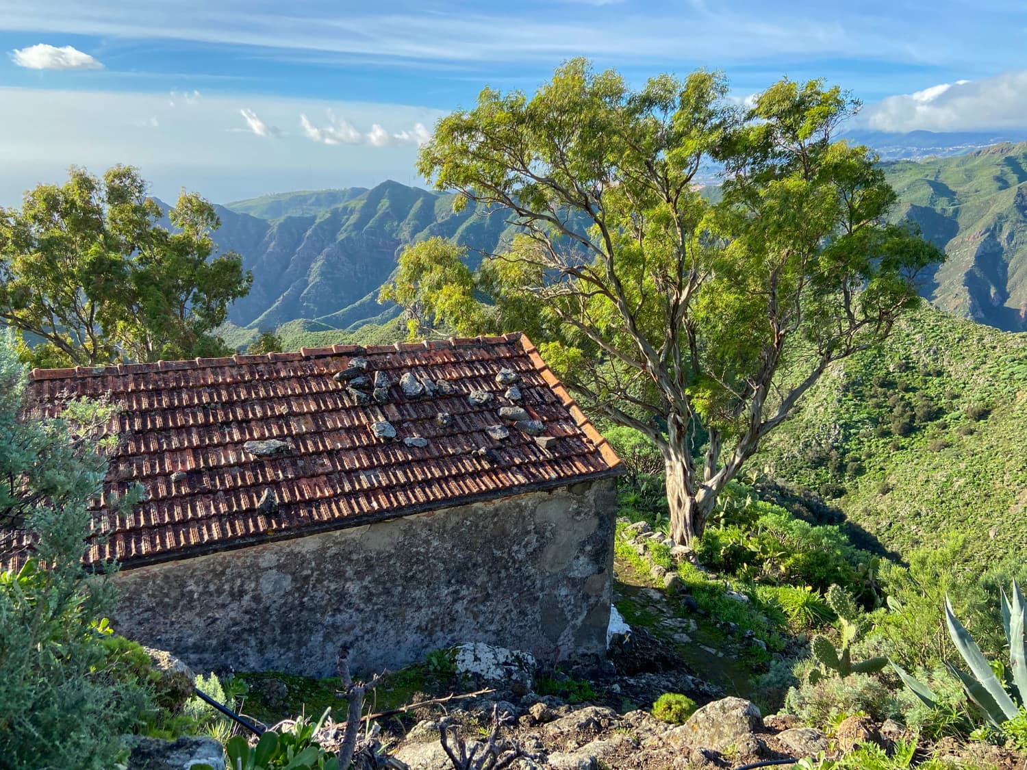 Desde el Pico del Inglés hasta la costa de Santa Cruz