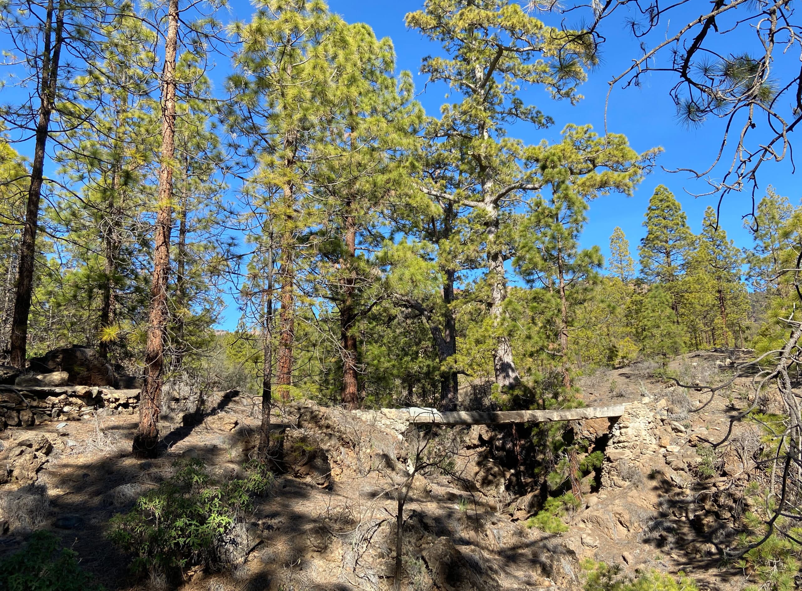 Small bridge over the Barranco de las Aguas