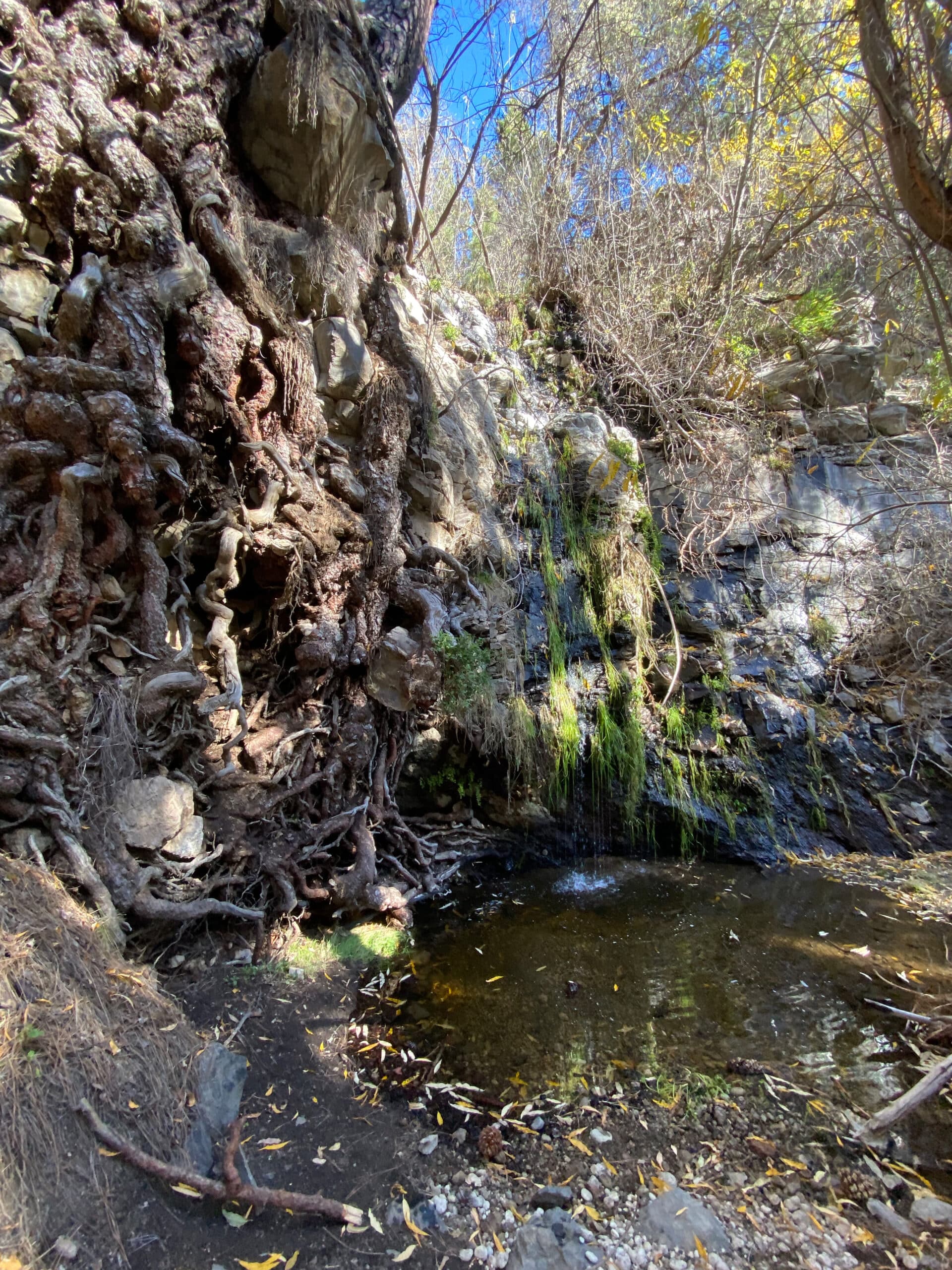 Wanderung zur Madre del Agua