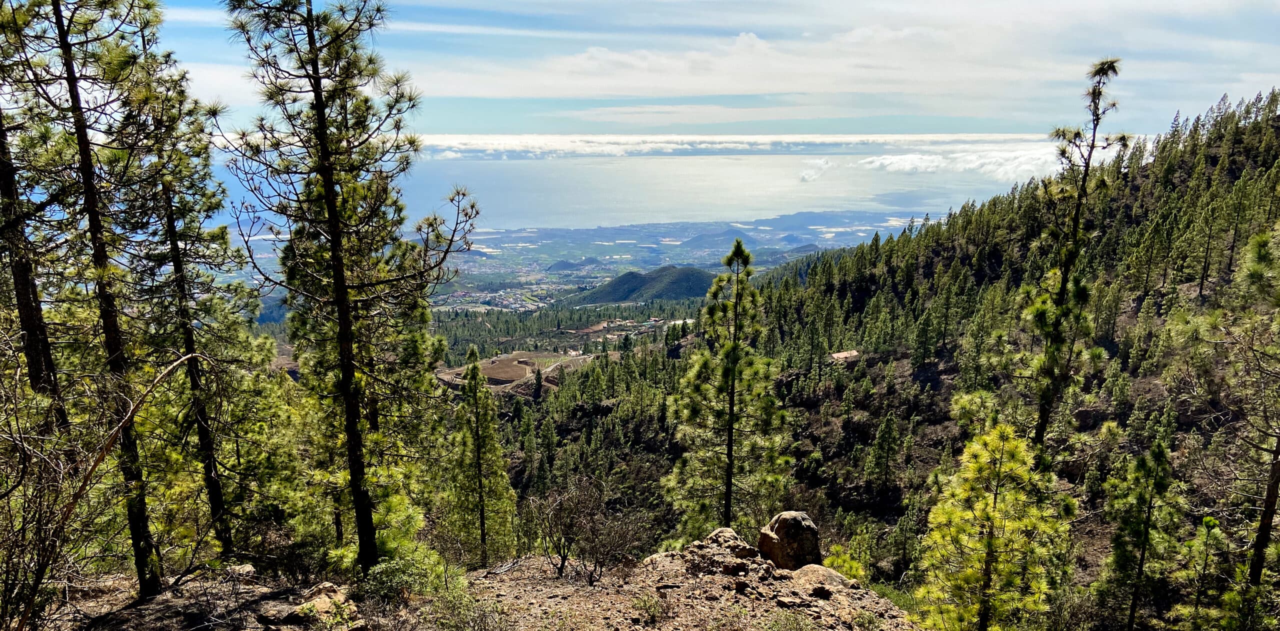 View of El Pinar, the east coast of Tenerife and the Atlantic Ocean