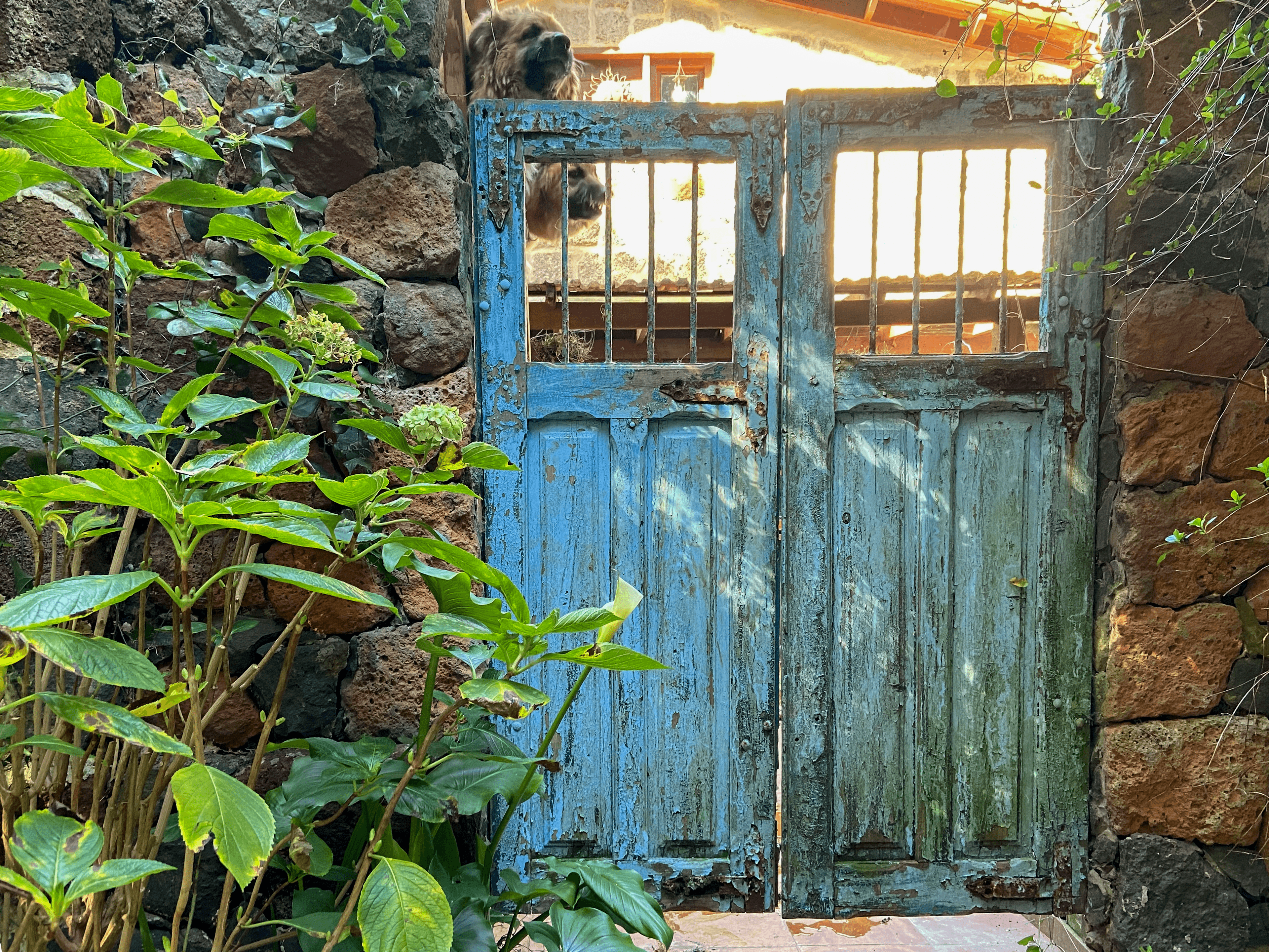 Small farmstead at the edge of the hiking trail