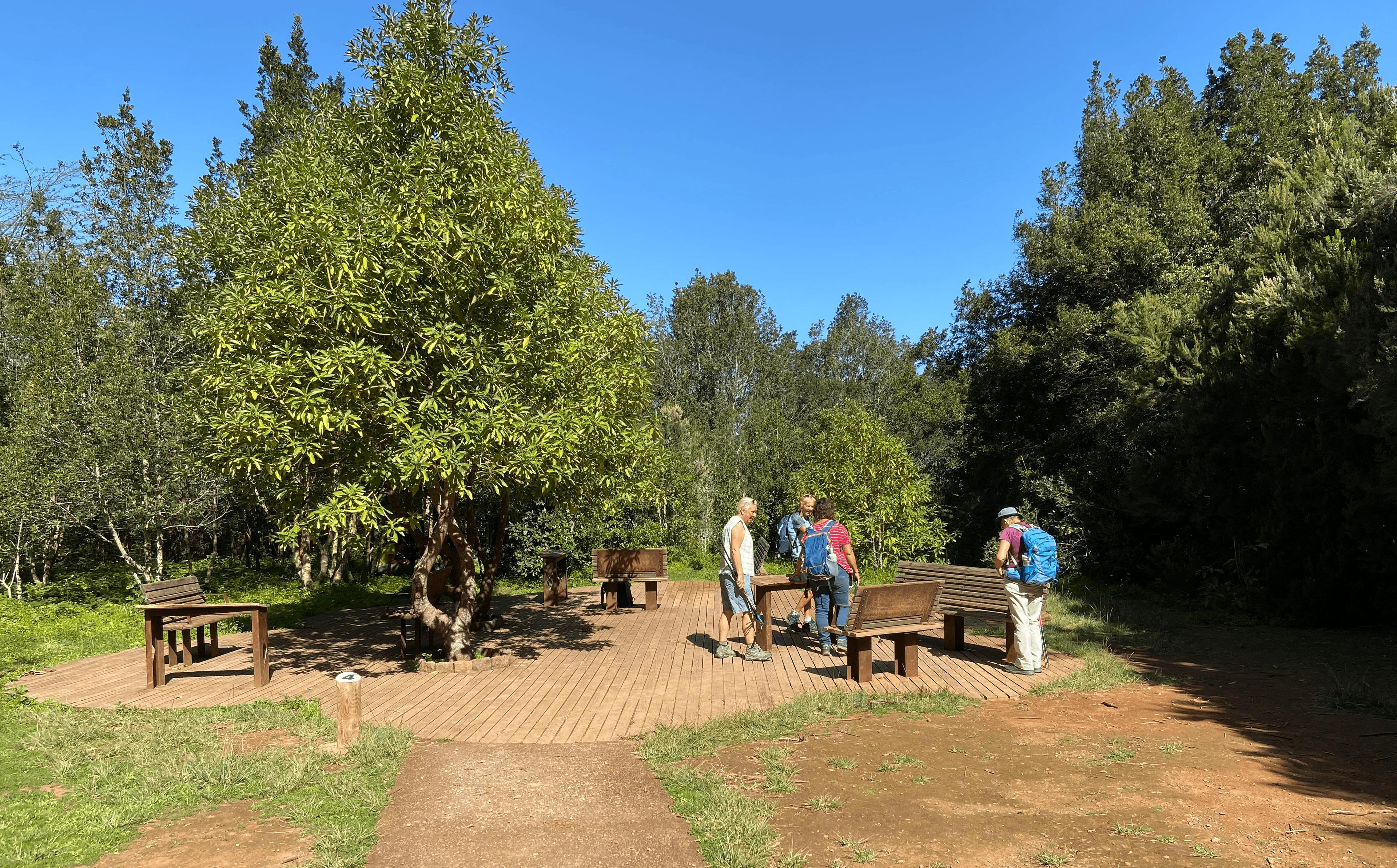 Small rest area on the hiking trail