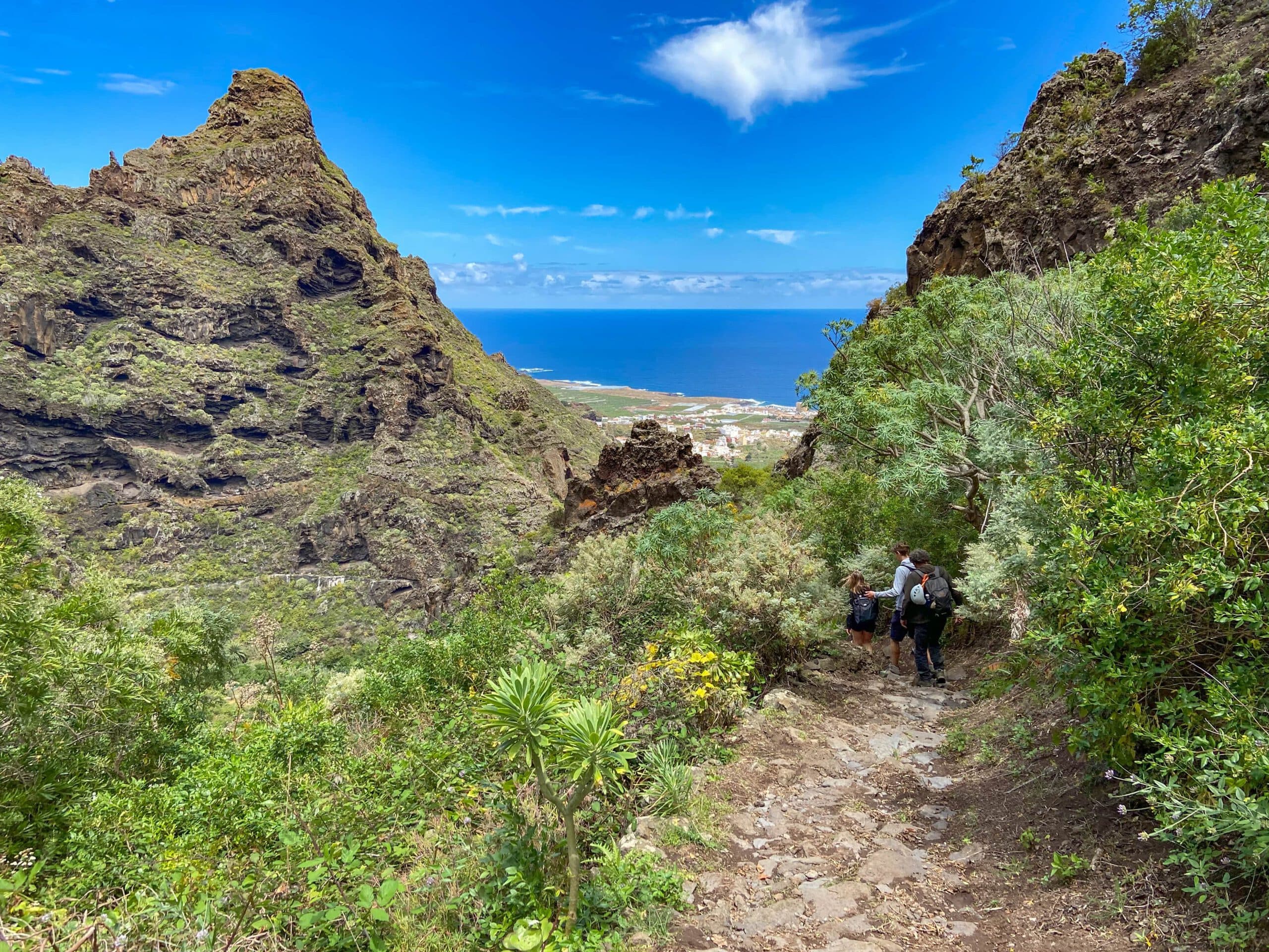 Wanderweg PR TF 53 von Erjos nach Los Silos über Cuevas Negras mit Blick auf die Küste bei Los Silos