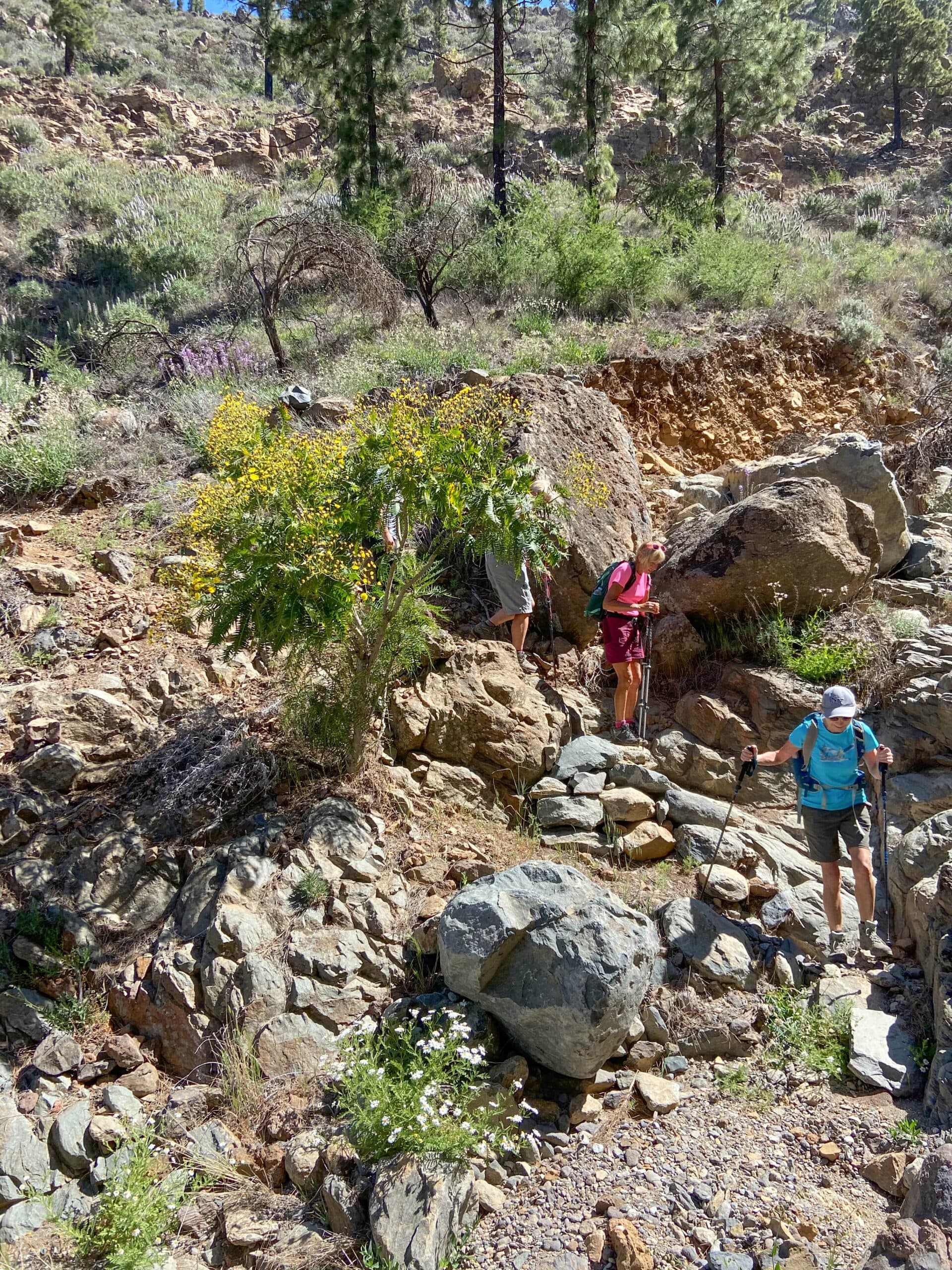 Great circular hike from Chirche over the Barranco de Tagara