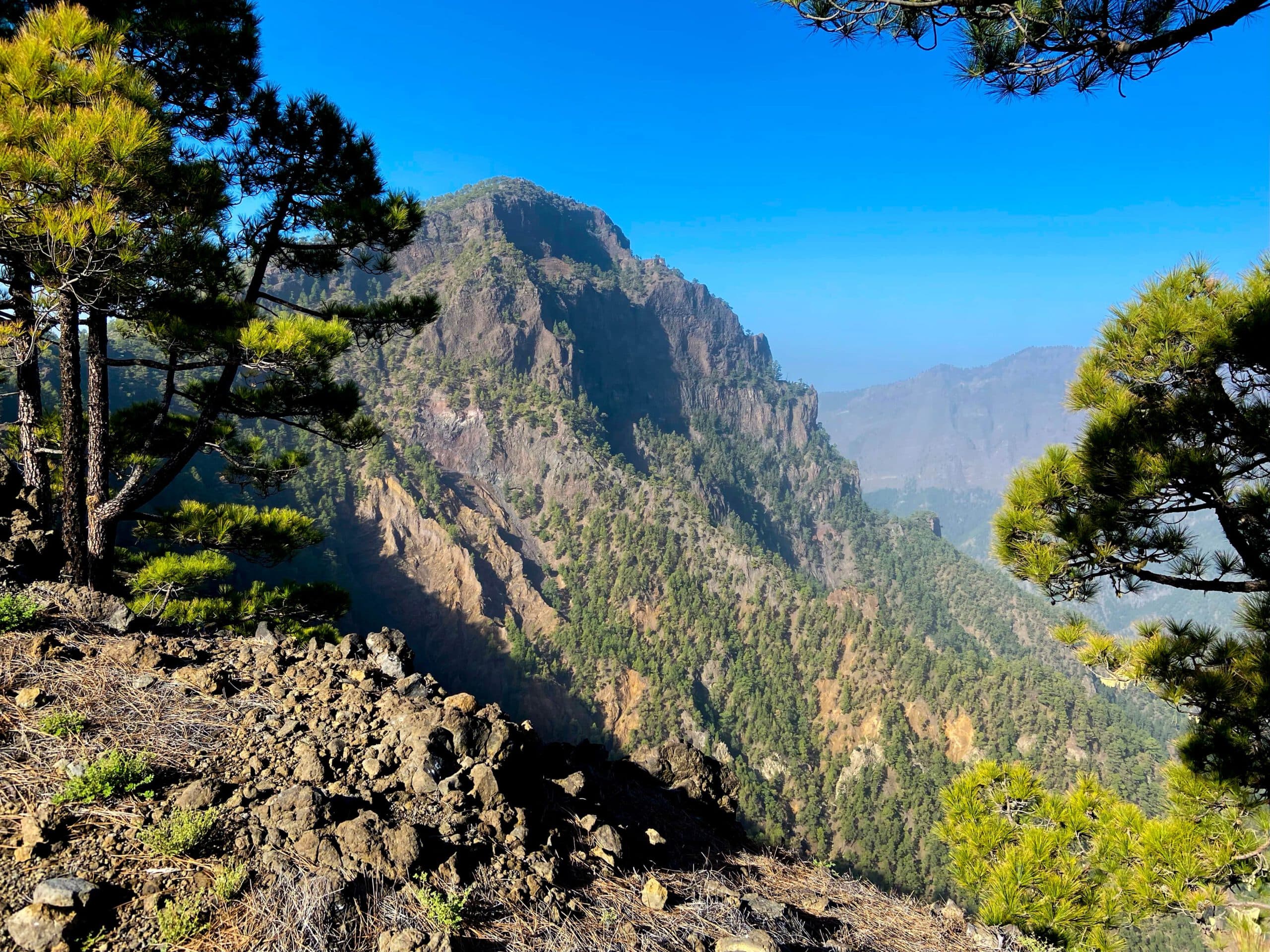 Blick auf den Roque Bejenado