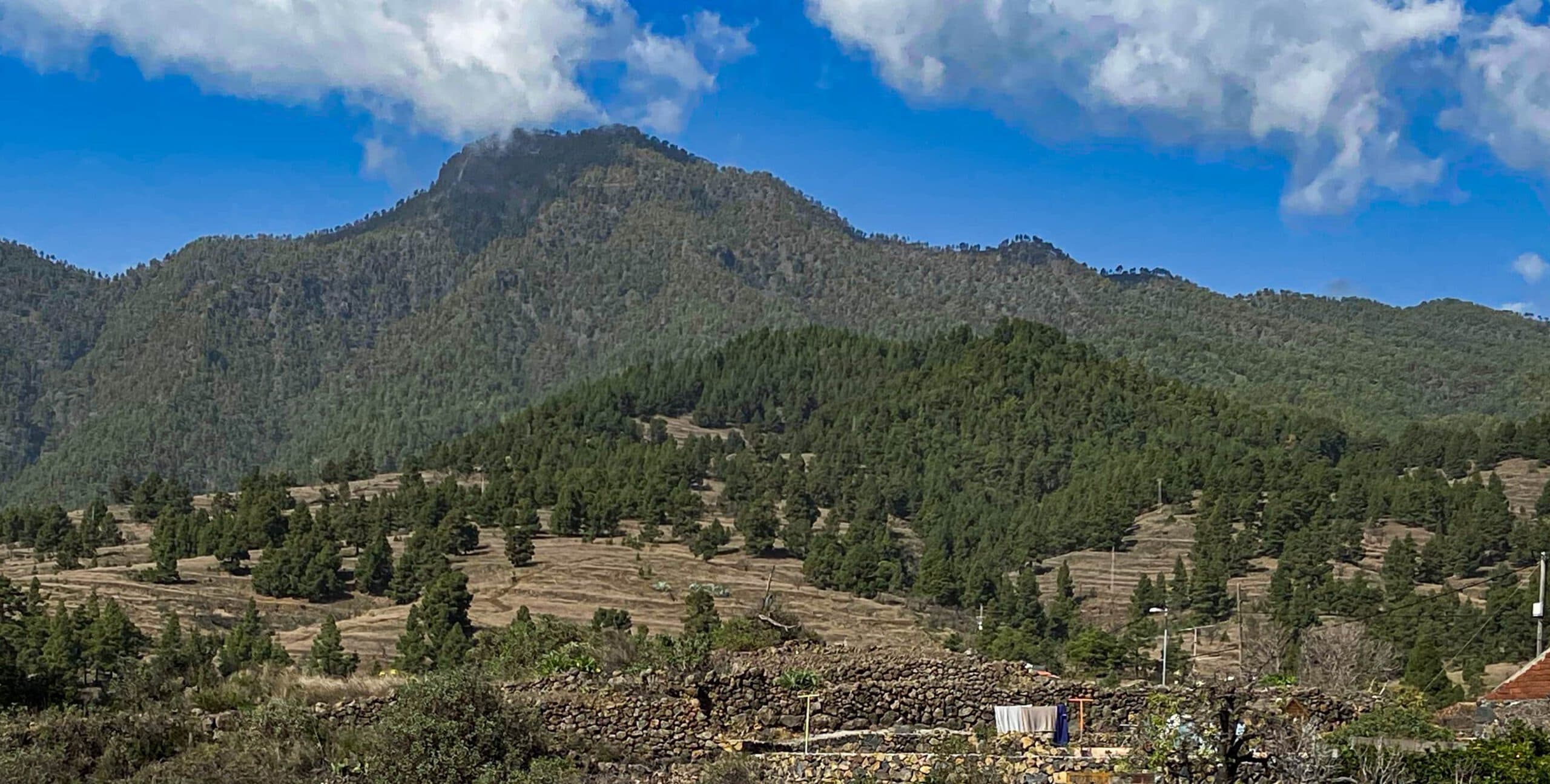 Vista del verde Pico Bejenado desde El Paso
