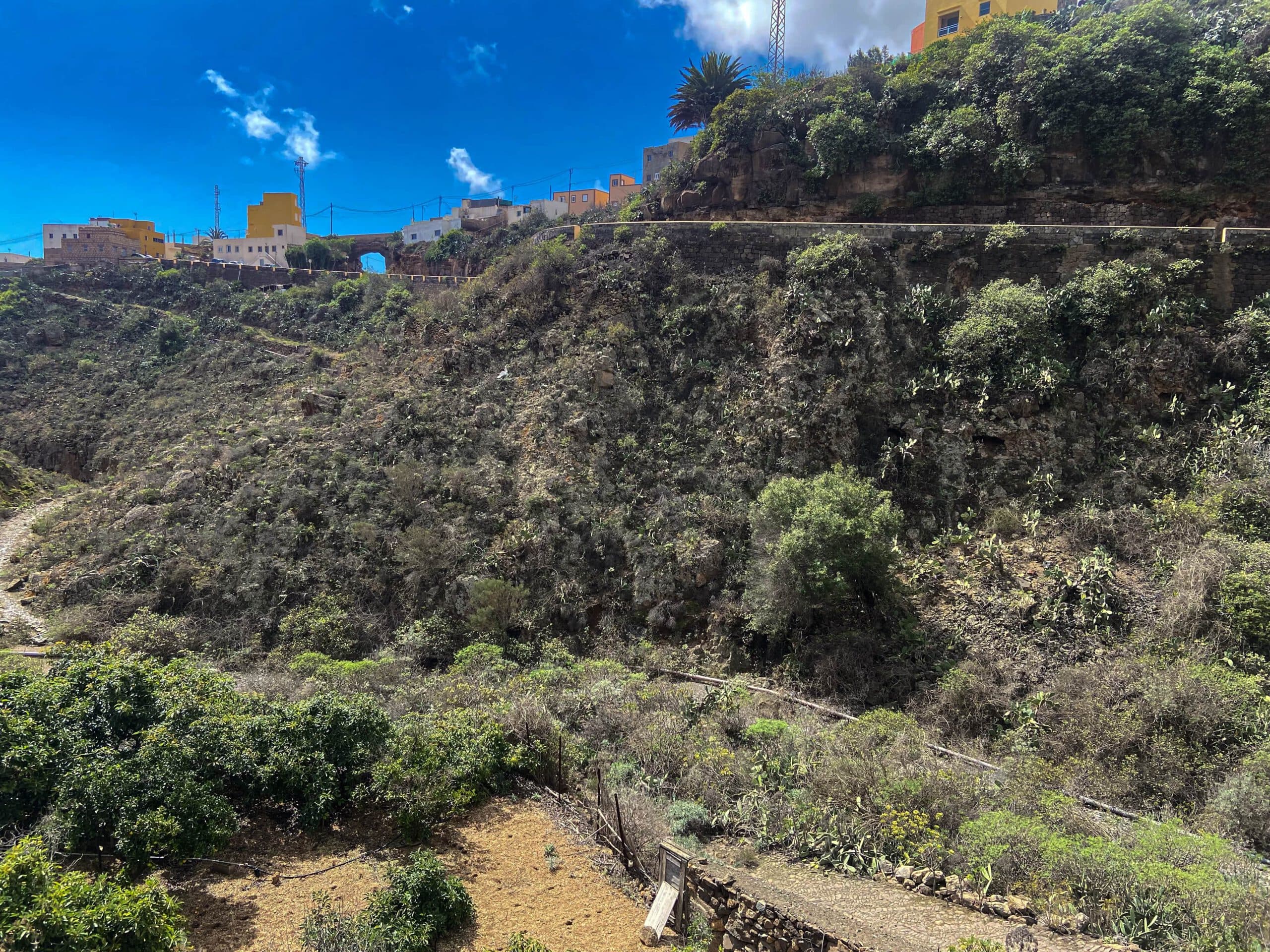 Camino Real del Sur detrás de la Villa de Arico y poco antes de Cisnera