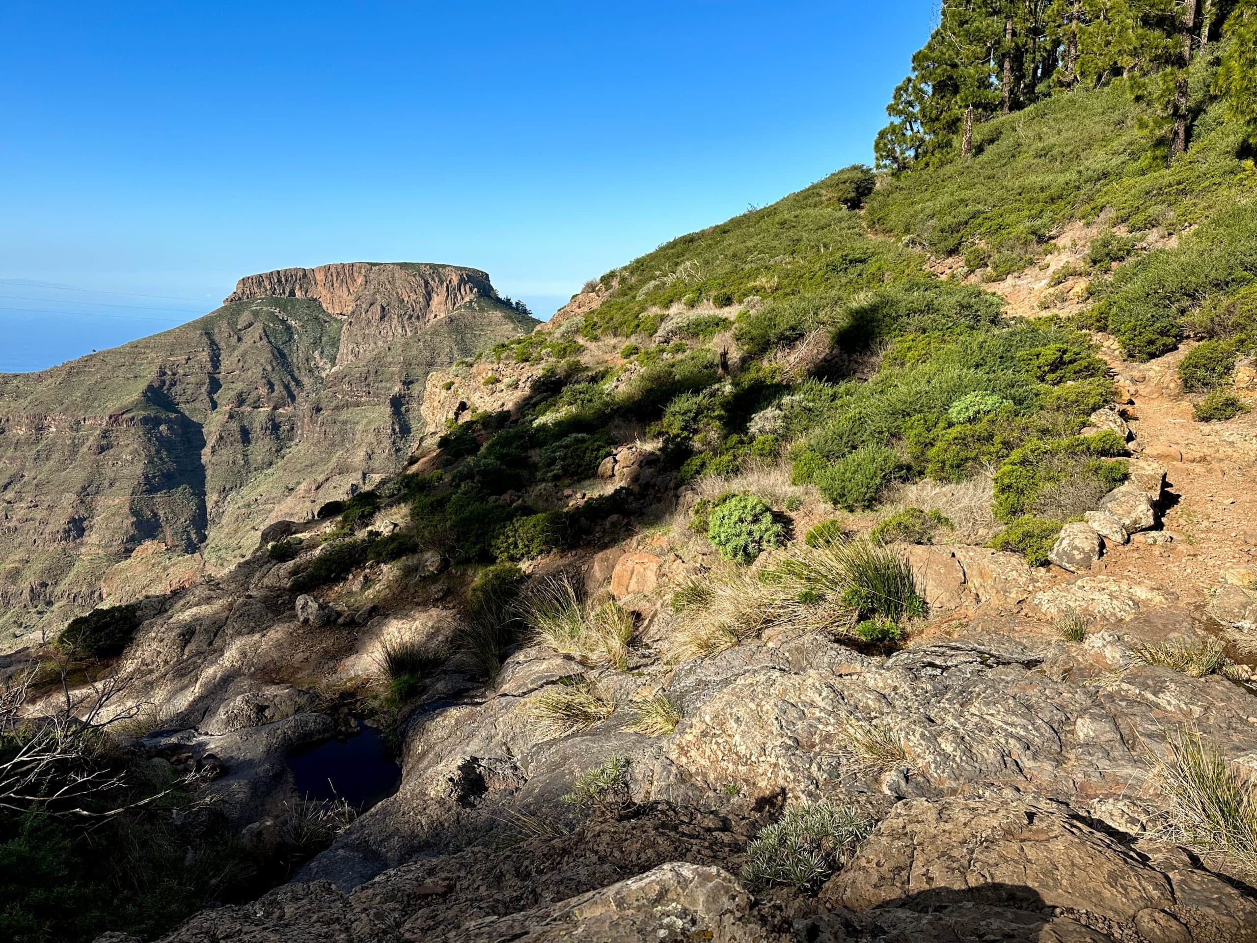 GR 131 - Crossing on the Degollada Blanca towards Pavon