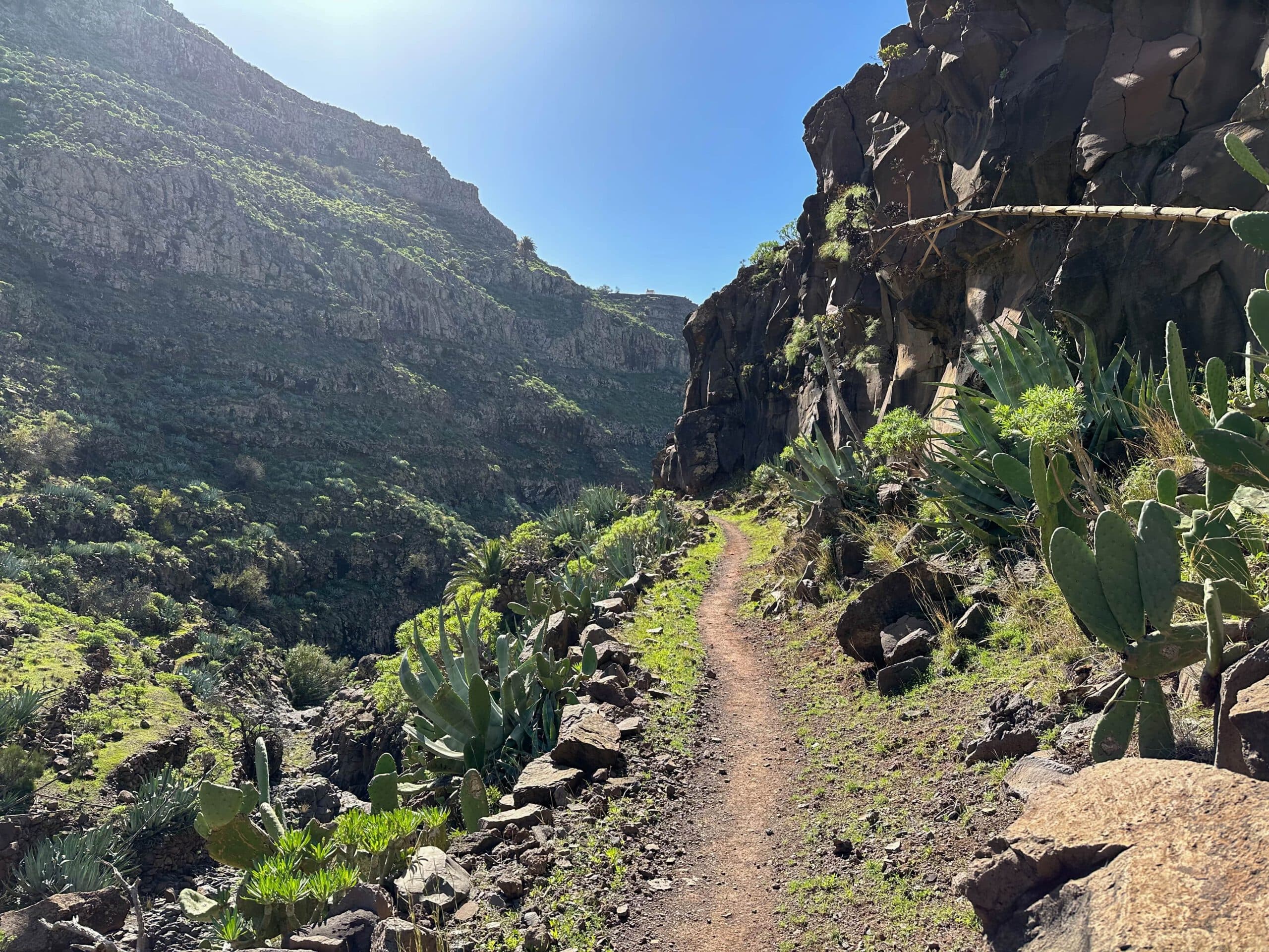 Ascent Barranco de Argaga to Degollada del Cerrillal