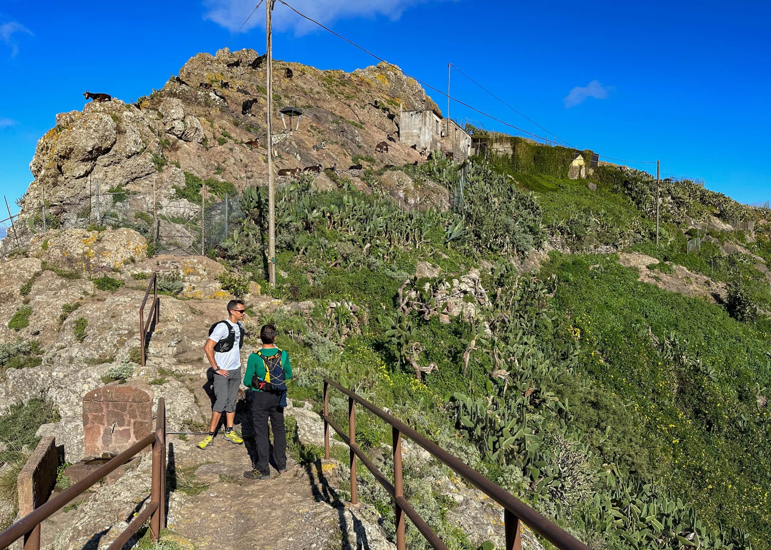 Puente, con excursionistas frente a la granja de cabras - Inicio sendero circular Roque Taborno