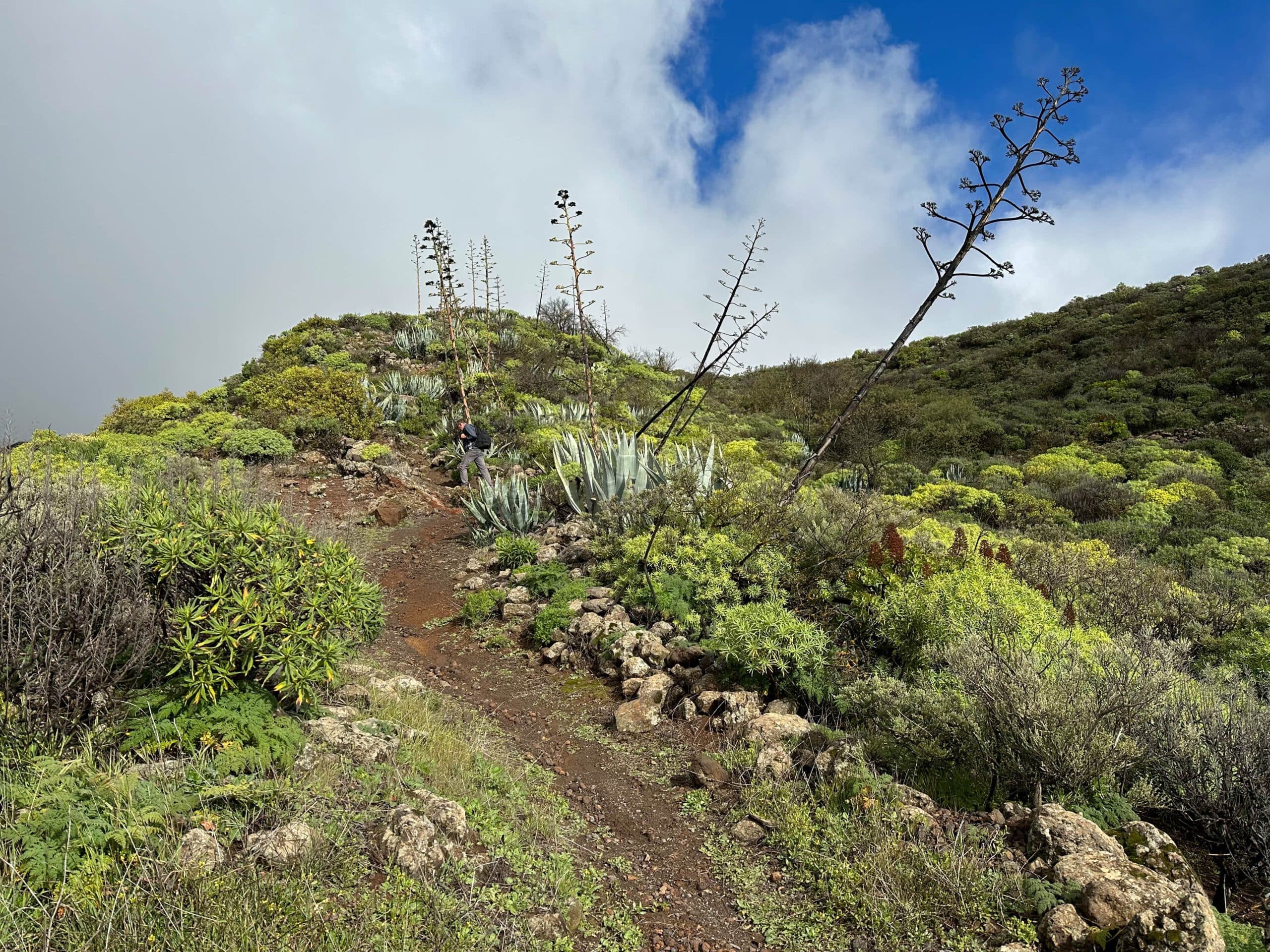 Wanderer auf dem Wanderweg hoch über Santa Lucia de Tirajana hinauf zur Cumbre