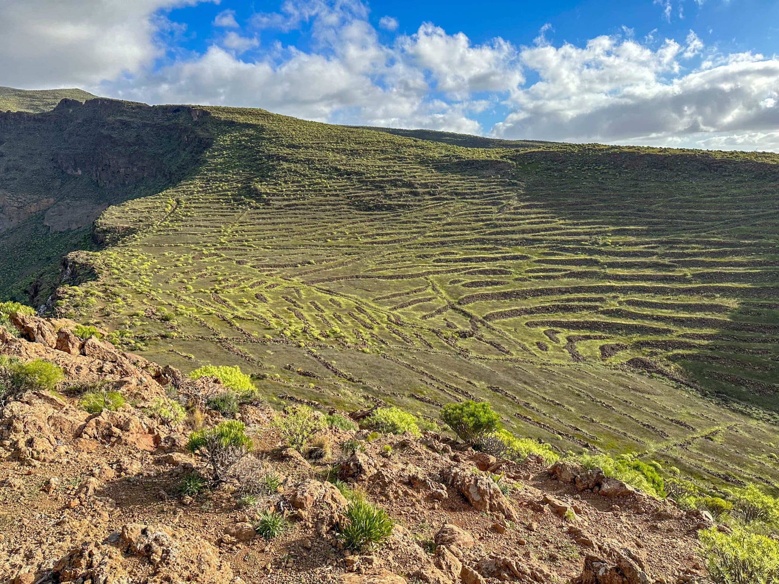 Blick auf grüne Terrassen auf dem Wanderweg hinter dem Curz del Siglo Richtung Cumbre