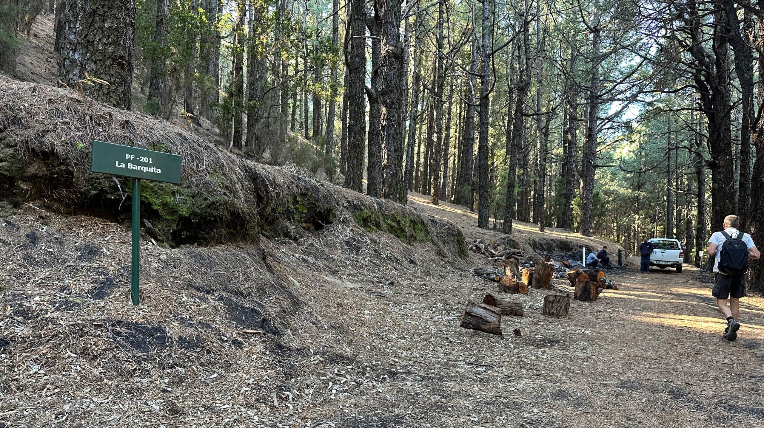 Wanderer auf dem Wanderweg - Forststraße