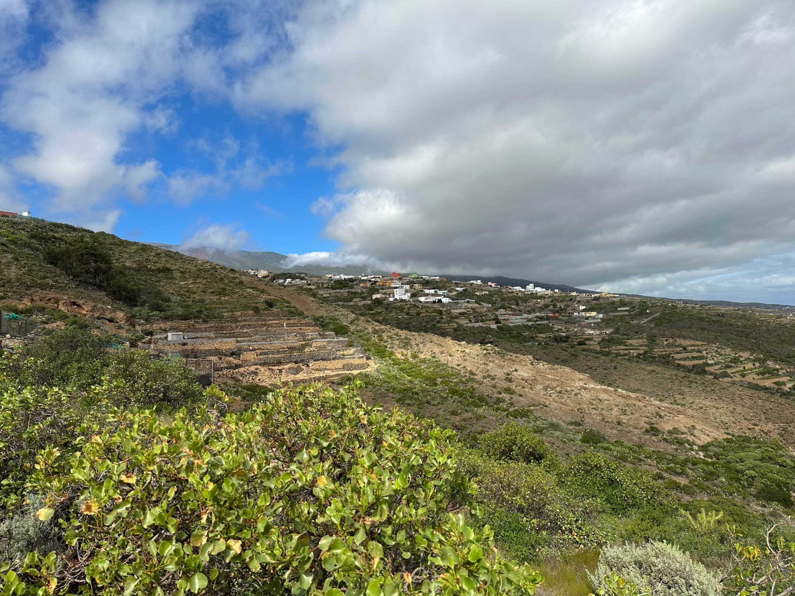 Vista desde la ruta de senderismo sobre prados y campos hacia Fasnia