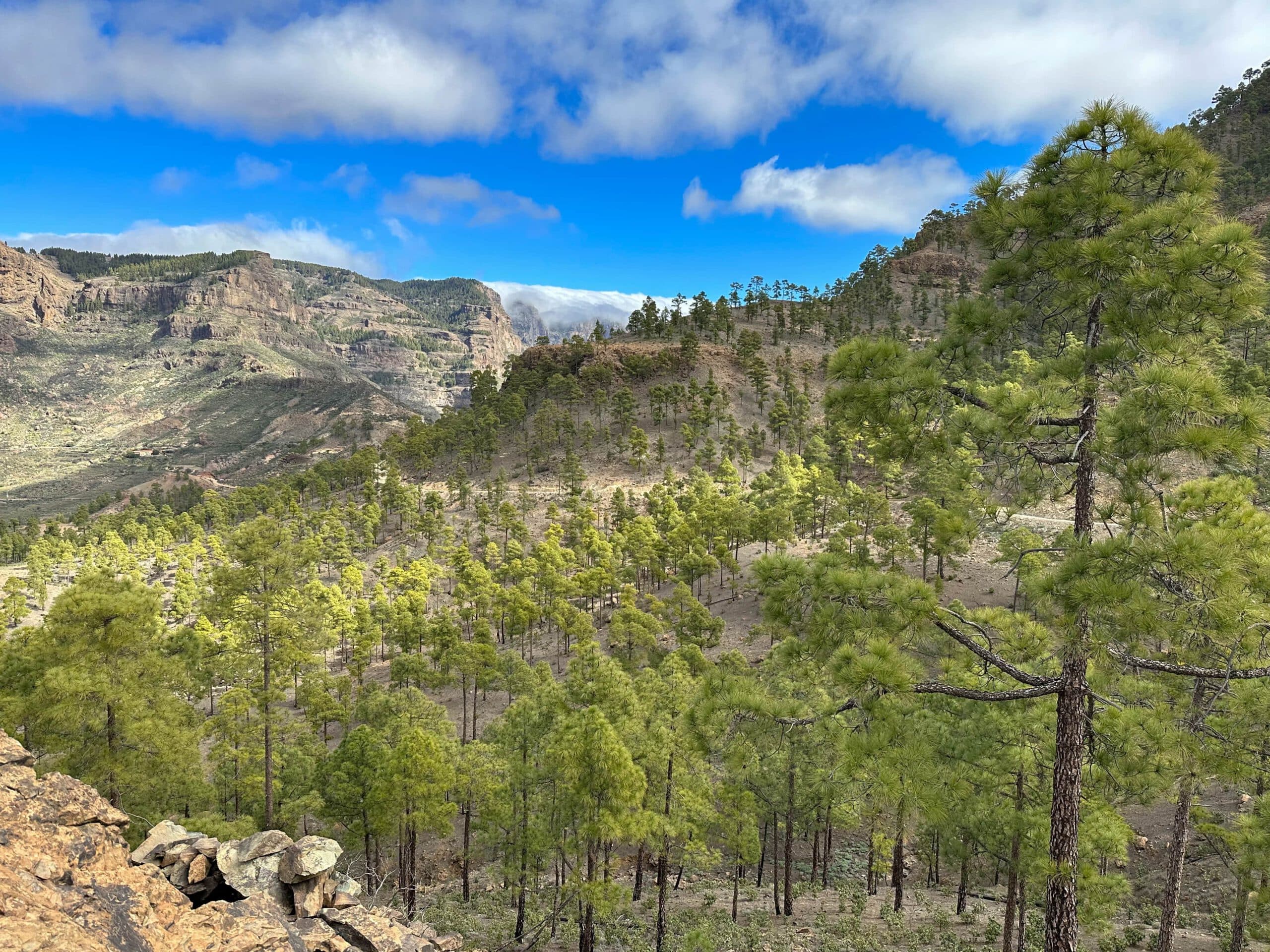 Pequeño desvío a la Degollada del Dinero con una buena panorámica poco antes de Cruz Grande 