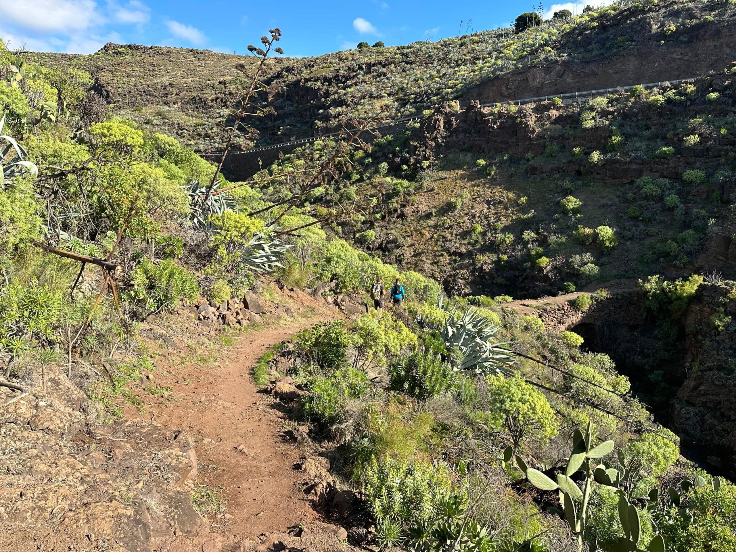 Ruta de senderismo por encima del Barranco de Las Vacas