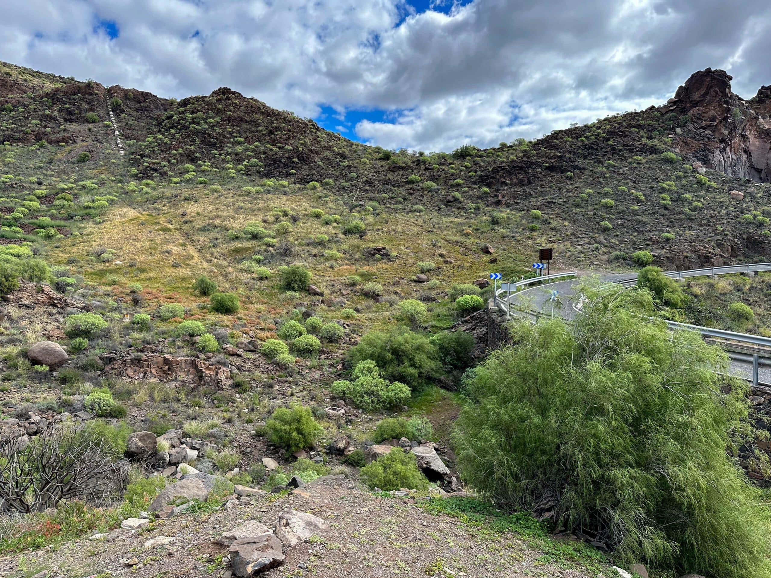 Subida Barranco de las Vacas (Melosas)
