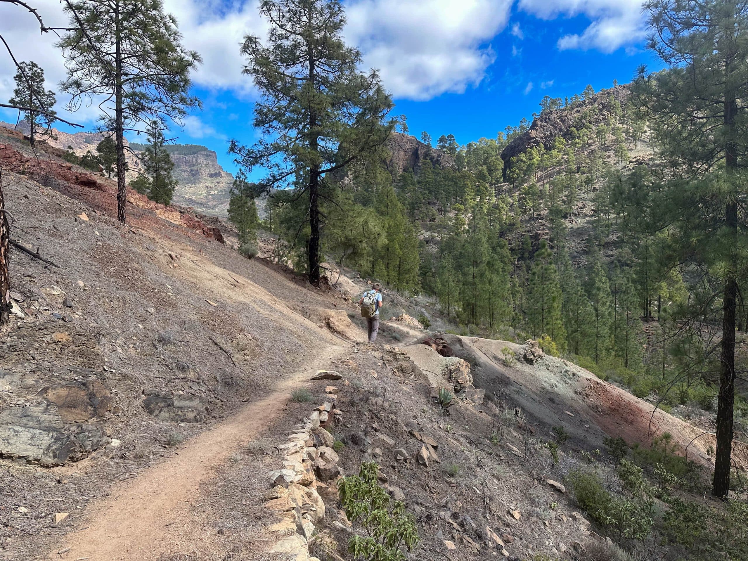 Ruta de senderismo hacia Cruz Grande por la ladera del Barranco de la Plata