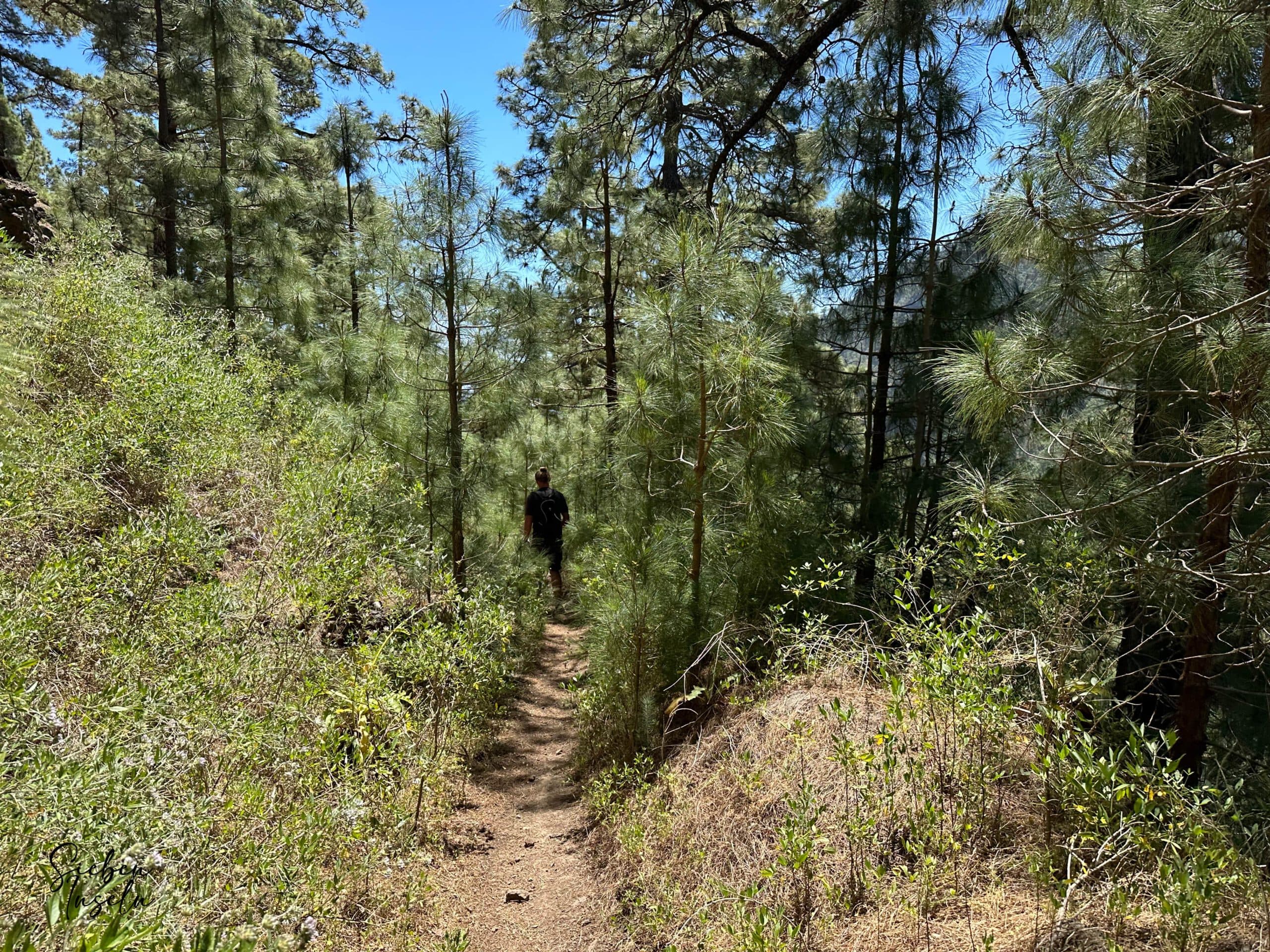 Senda de descenso hacia Igueste de Candelaria por encima del Barranco de Leres